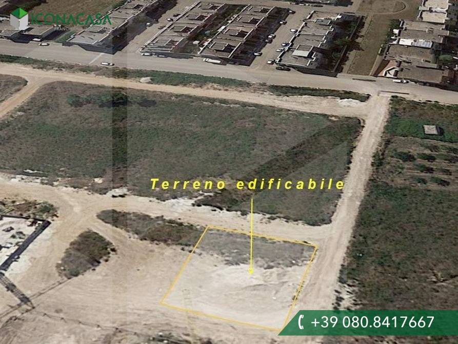 1-Zimmer Grundstück in Noicattaro, Italy, Nr. 22205