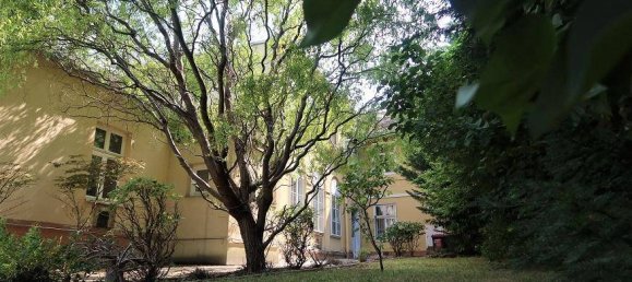 Вилла с 7 спальнями в Баден, Австрия № 153216 10