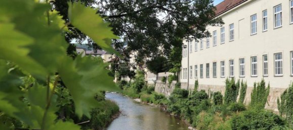 Вилла с 7 спальнями в Баден, Австрия № 153216 2