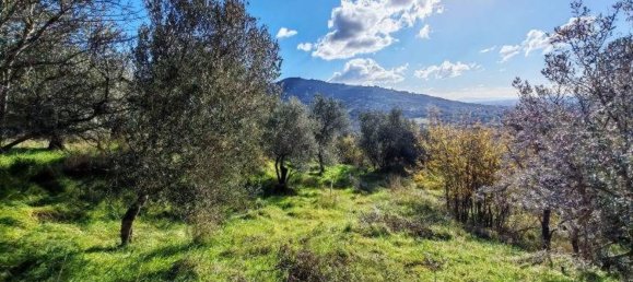 3-Zimmer Haus in Cortona, Italy, Nr. 78861 6