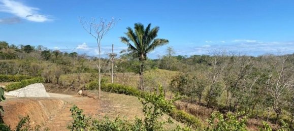  Land in Puntarenas, Costa Rica No. 1799 3