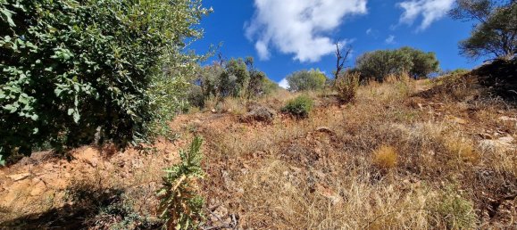  قطعة أرض في Marbella, Spain 458متر مربع رقم 129790 14