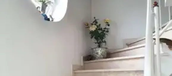 2 غرف نوم منزل في Rhein-Neckar-Kreis, Germany رقم 22026 8