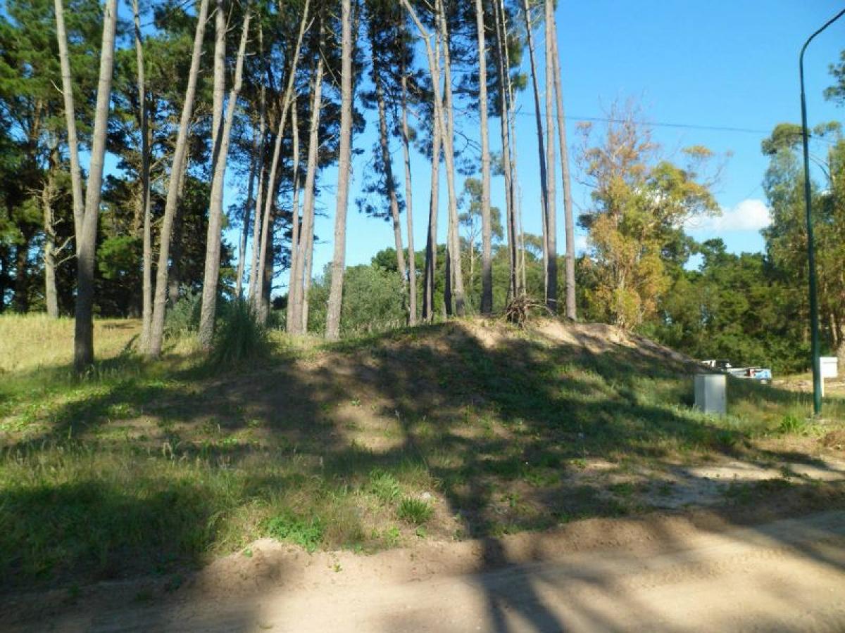 Terrain à Mar del Plata, Argentina No. 113672