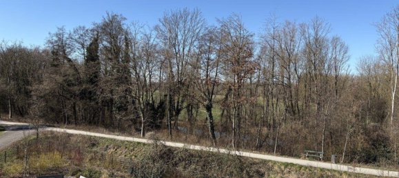 2-Zimmer Wohnung in Linz, Austria, Nr. 172796 10