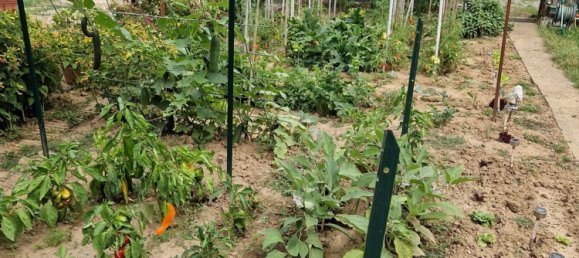 4غرفة شقة في Pozzolo Formigaro, Italy رقم 277601 12