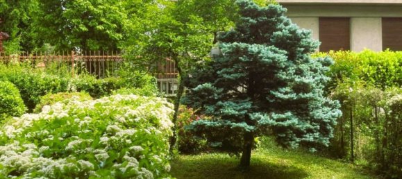 4 bedrooms House in Seregno, Italy No. 361140 12