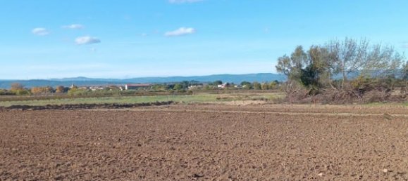 42827m² Land in Saint-Nazaire-d'Aude, France No. 97150 3