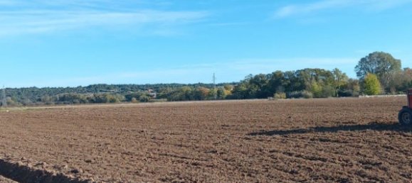 42827m² Land in Saint-Nazaire-d'Aude, France No. 97150 2