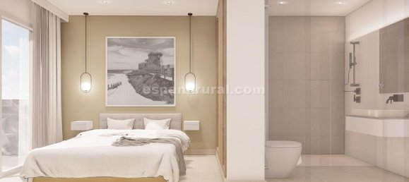 2 bedrooms Apartment in Pilar de la Horadada, Spain No. 13733 11