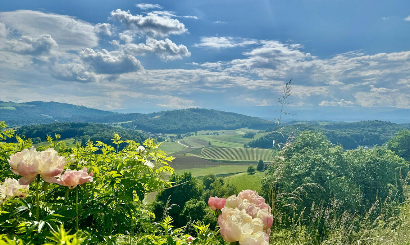 10 rooms Castles in Leibnitz, Austria No. 142634