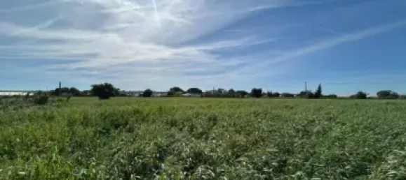  قطعة أرض في Cadiz, Spain 21260متر مربع رقم 170641 7