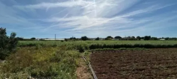  قطعة أرض في Cadiz, Spain 21260متر مربع رقم 170641 6