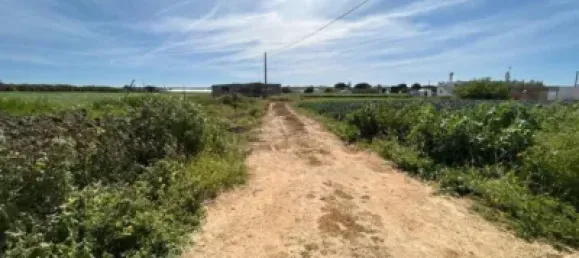  قطعة أرض في Cadiz, Spain 21260متر مربع رقم 170641 10