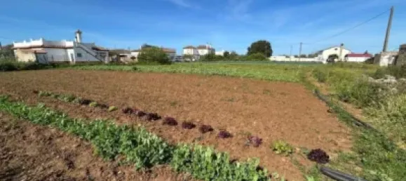  قطعة أرض في Cadiz, Spain 21260متر مربع رقم 170641 5