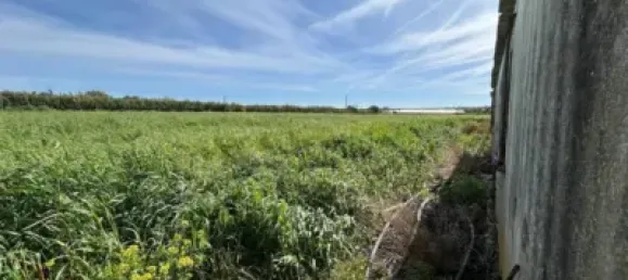  قطعة أرض في Cadiz, Spain 21260متر مربع رقم 170641 3