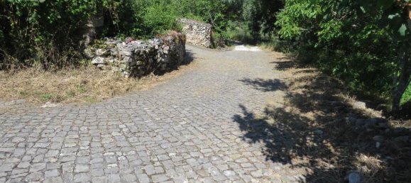  Land in Ansiao, Portugal No. 201324 4