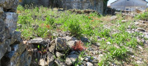  Land in Ansiao, Portugal No. 201324 5