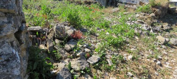  Land in Ansiao, Portugal No. 201324 10