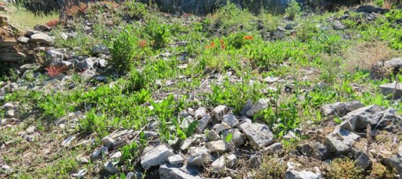  Land in Ansiao, Portugal No. 201324 7