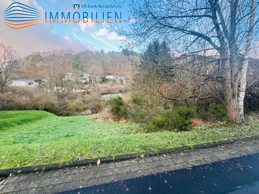  Land in Euskirchen, Germany No. 146055