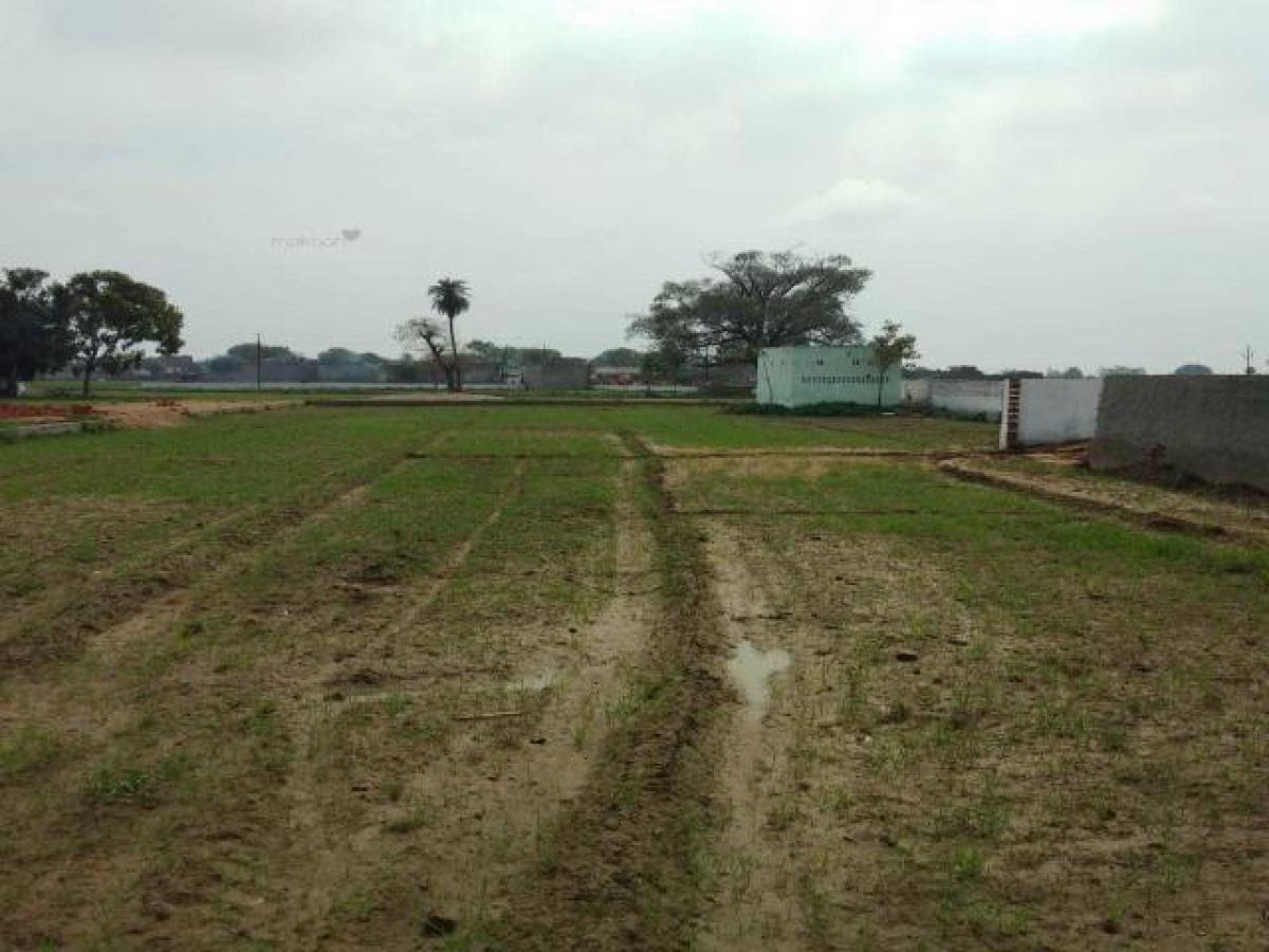 Terreno en Noida, India No. 31102