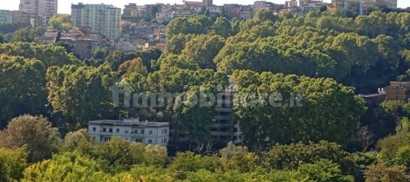 3 chambres Appartement à Frosinone, Italy No. 293175 33