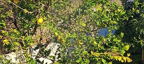 3 غرف نوم منزل في Sintra, Portugal رقم 53164 9