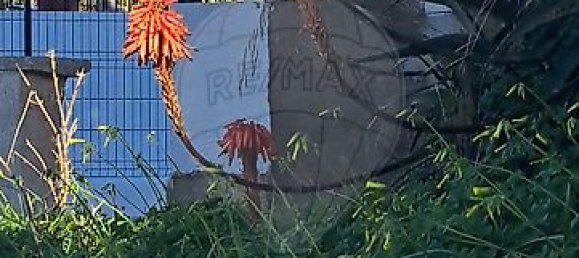 3 غرف نوم منزل في Sintra, Portugal رقم 53164 10