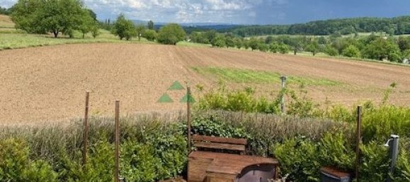 3 bedrooms House in Neuwiller, France No. 46742 6