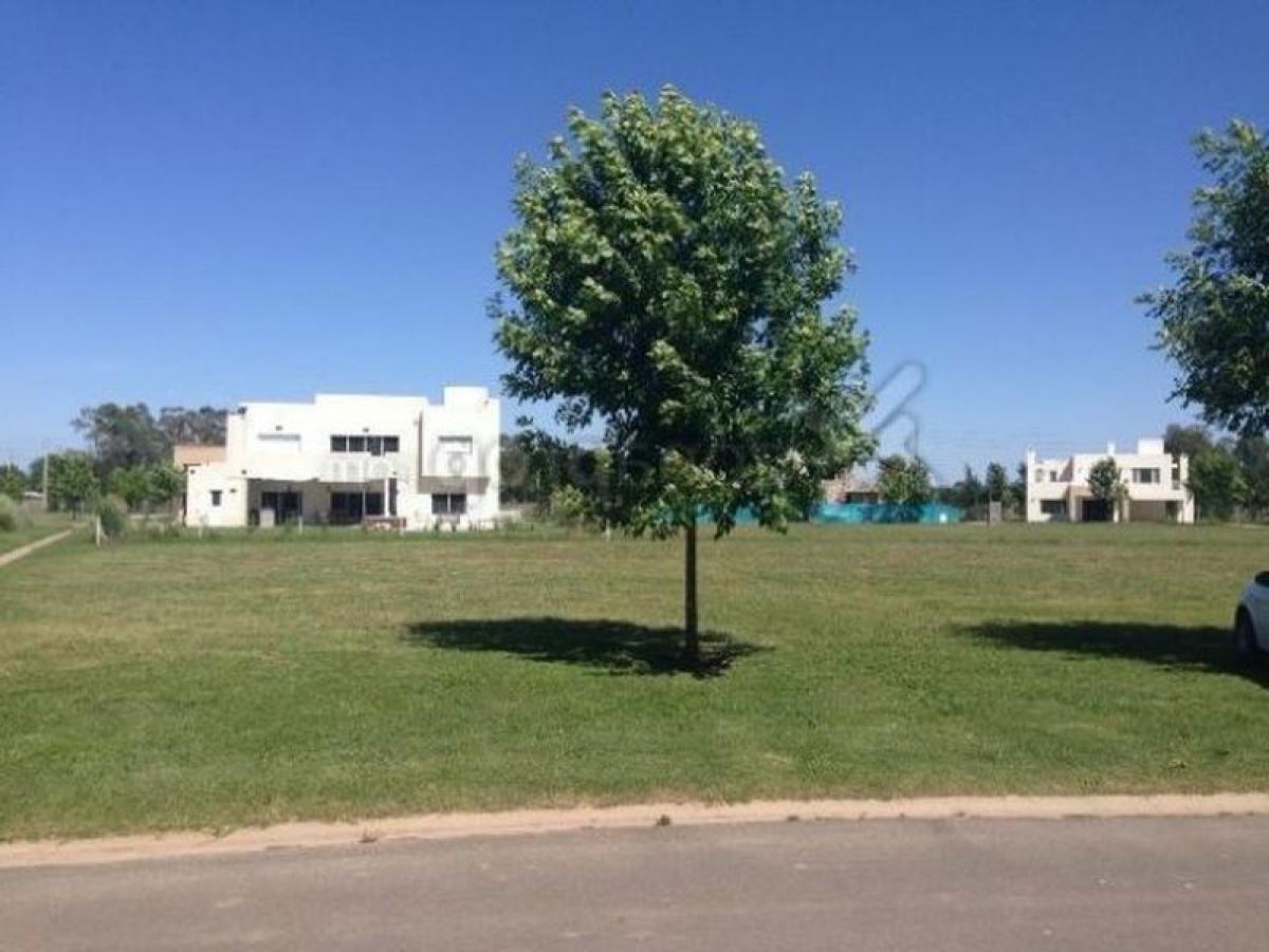 Terrain à General Rodriguez, Argentina No. 117988