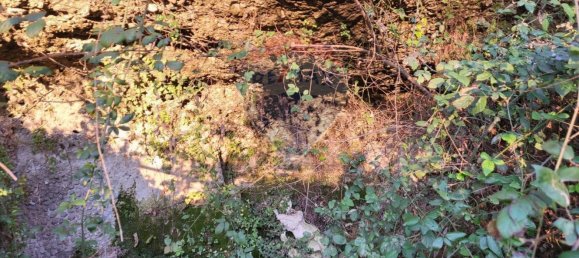 Grundstück in Capriate San Gervasio, Italy 3500m², Nr. 55177 22