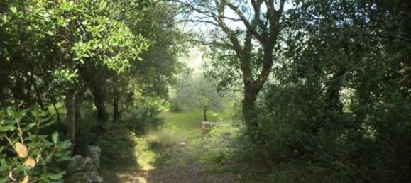 Land in Tricase, Italy No. 334644 14