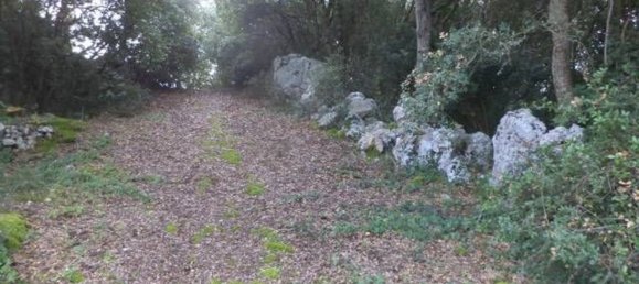 Land in Tricase, Italy No. 334644 15
