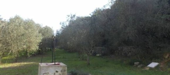 Land in Tricase, Italy No. 334644 19