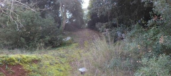 Land in Tricase, Italy No. 334644 17