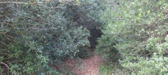 Land in Tricase, Italy No. 334644 11