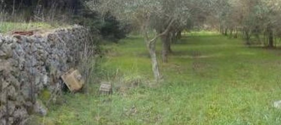 Land in Tricase, Italy No. 334644 7