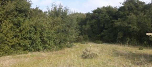 Land in Tricase, Italy No. 334644 9