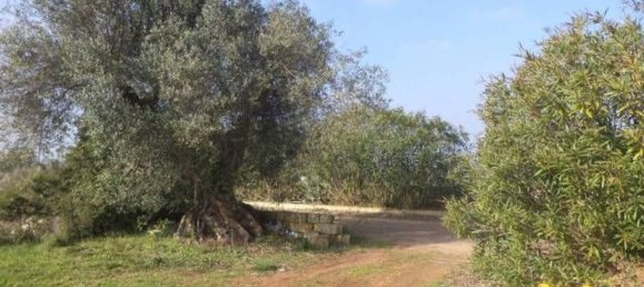 Land in Tricase, Italy No. 334644 4