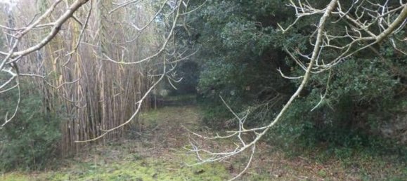 Land in Tricase, Italy No. 334644 16