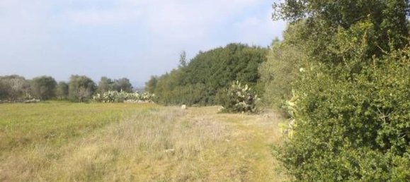 Land in Tricase, Italy No. 334644 10