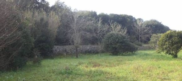 Land in Tricase, Italy No. 334644 6