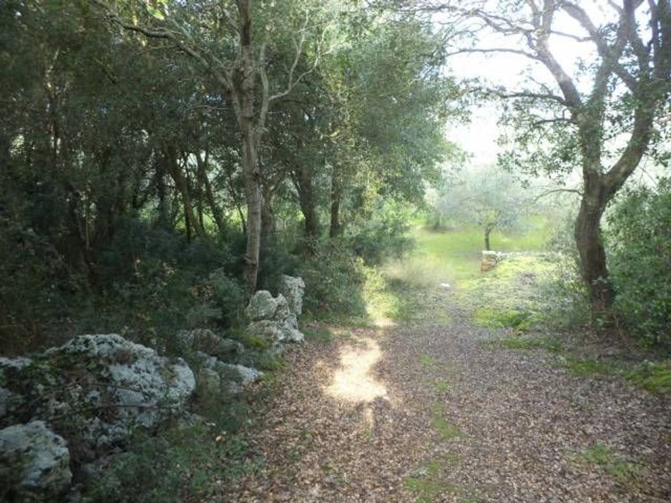 Земельный участок в Tricase, Италия № 334644