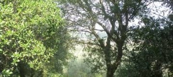 Land in Tricase, Italy No. 334644 13