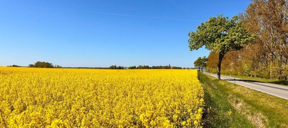 8-Zimmer Haus in Demmin, Germany, Nr. 267699 3