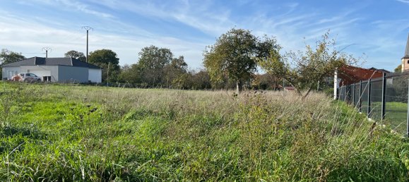  Land in Gondrexange, France No. 68182 4