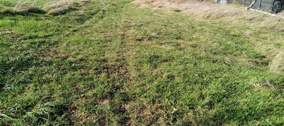  Land in Gondrexange, France No. 68182 13