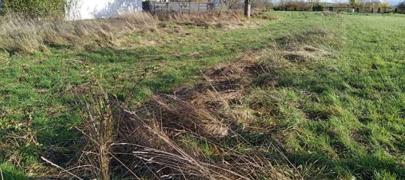  Land in Gondrexange, France No. 68182 8