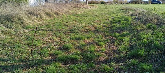  Land in Gondrexange, France No. 68182 6